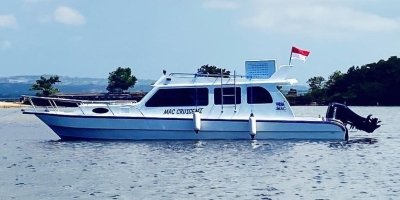 Boat Trips & Charters