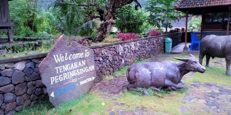 Private Eastern Bali Culture and Nature Tour