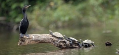 Peru Puerto Maldonado :Sandoval Lake Reserved 4days / 3night