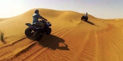 Bike Tours & Rentals