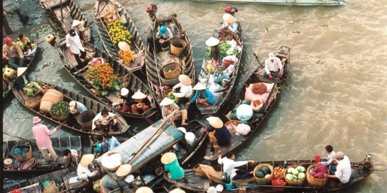 Insight Mekong Delta Full Day With Private Transfer