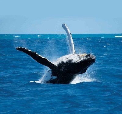 7 days Private Tour in Sri Lanka