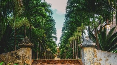 Tu Tierra maya English