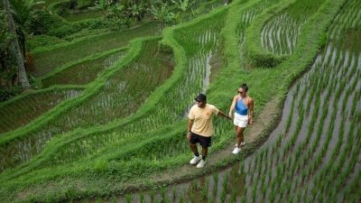 Bali : Ubud Highlights Tour Waterfall Monkey Forest and Swing