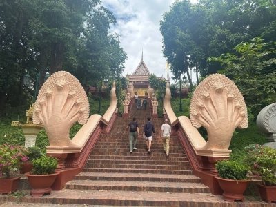 Private Half Day Trip to Royal Palace & Wat Phnom in Phnom Penh
