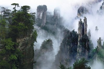 Private Day Trip to Zhangjiajie National Forest Park