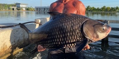 Fishing Tours & Charters