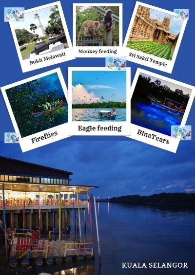 Fireflies/Bioluminescence Tour 6Hours