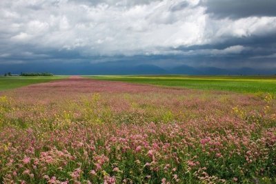 Trekking in Tian-Shan mountains in Kyrgyzstan!