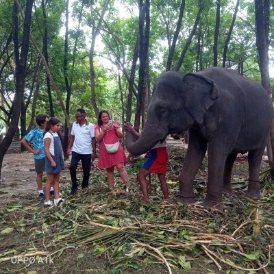 Shore Excursion Colombo Highlight Tour from Passenger Terminal.