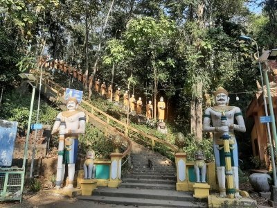 Dolphins tour and Mekong discovery