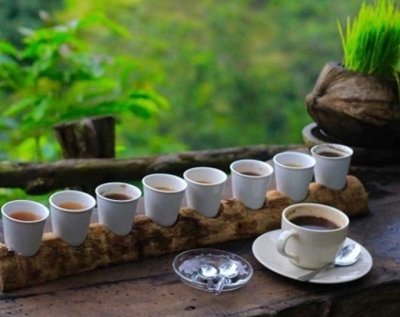 Full Day Ubud Tour Private Guided -All Inclusive