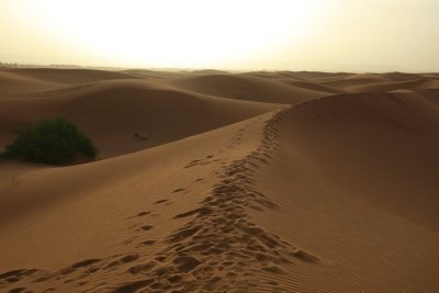 2-DAYS ZAGORA DESERT TOUR FROM MARRAKECH