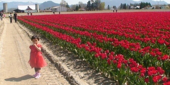 Tulip Festival at Skagit Valley ,La Conner and Deception Pass