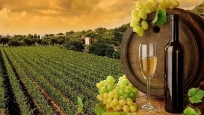 2 Days Star Gazing & Wine Tasting Tour