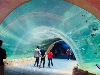 Dubai to Abu Dhabi City Tour: Hire Minibus, & Hiace with Driver