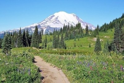 Small group Tour in Mt Rainier with air-conditioned Van Transfer