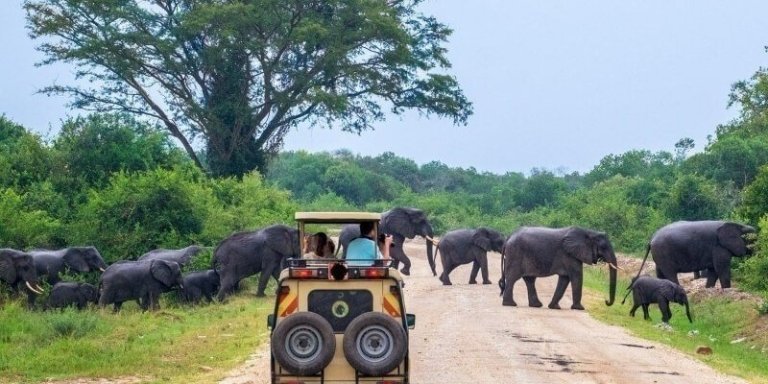 Murchison Falls Tour