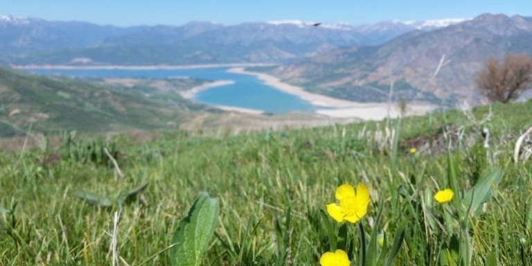 Trekking in Chimgan ( Western Tianshan , Ugam Chatkal National Park)