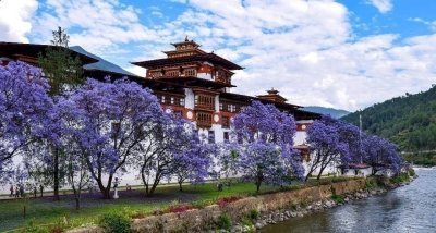 6 Day Bhutan Tour - Punakha