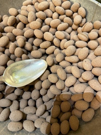 Basel's Cheese, Chocolate, and Local Pastry Tasting