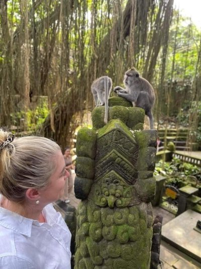 Ubud trip and activity