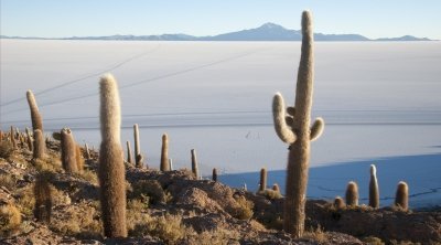 CLASSIC UYUNI SALT FLAT