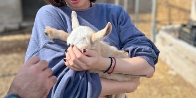 Bike Tours & Rentals