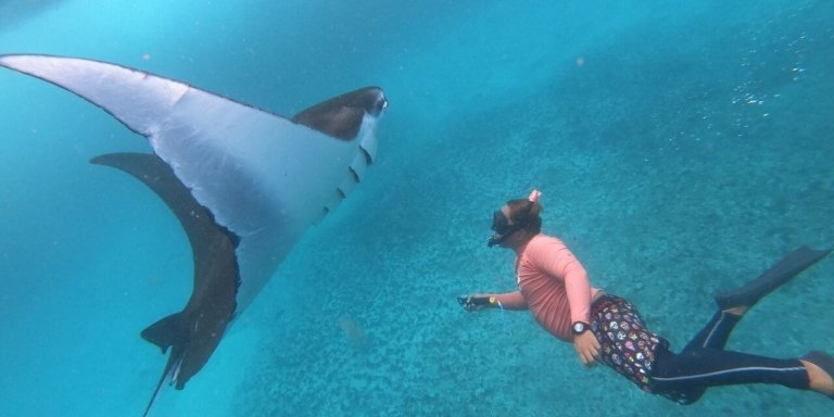 Swim With Manta Rays 3 Spots Snorkeling Penida Island (All-Inclusive)