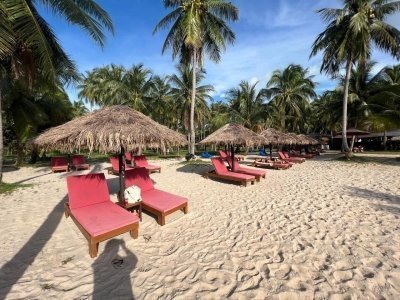 PHI PHI ISLAND TOUR - SPEEAD BOAT - THAI FOOD - SIC PREMIUM