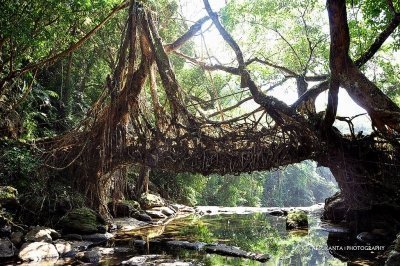 Assam & Meghalaya Trip