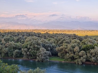 All-day boat tour on Skadar lake