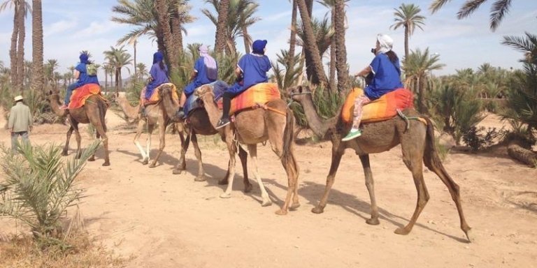 Marrakech Camel Ride Experience with Pick-up