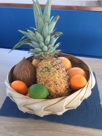 CAPTAIN DIDICÔ PRIVATE TOURS