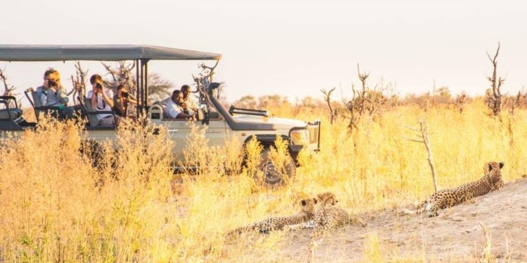 Victoria Falls - Southluangwa National Park - Luxury Safari Tour