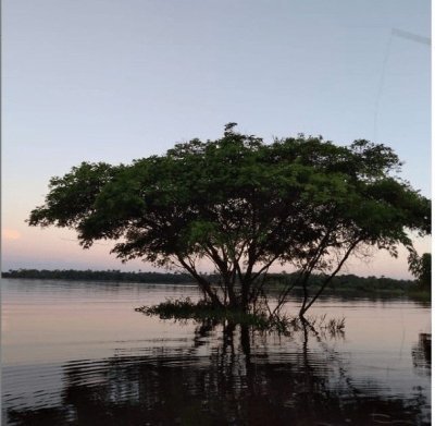 Piranha Fishing and Alligator Cayman Watching