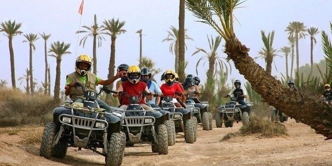 Explore Marrakech with a Quad Bike Tour to Palm Oasis , Jbilat Desert