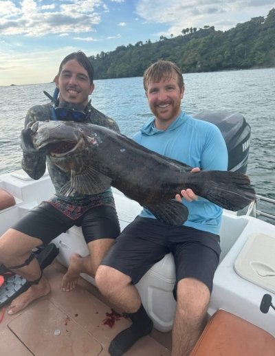 Half Day Reef Spearfishing
