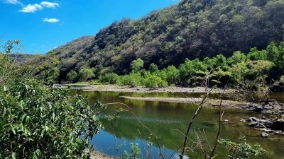 Tour de 6 horas ( Largo )