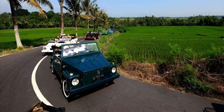 Ubud VW Safari Bali Tour - Volkswagen Classic Car Trip