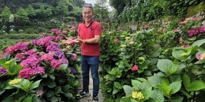 Custom tour around Taiwan