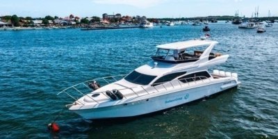 Boat Trips & Charters