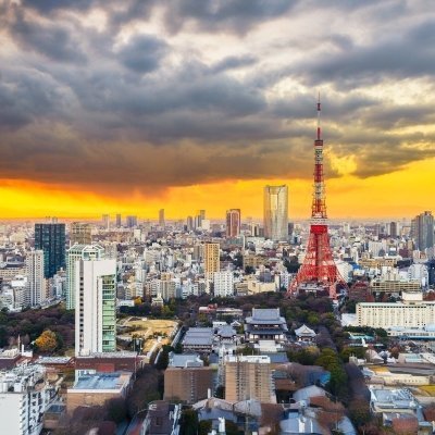 Tokyo Highlights Tour with Private Van