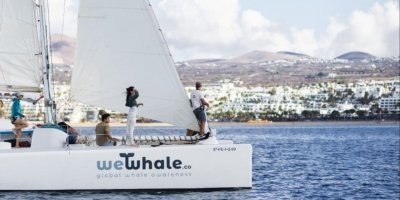 Boat Trips & Charters