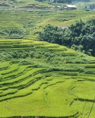 The Most Beautiful Terraced Fields Trekking