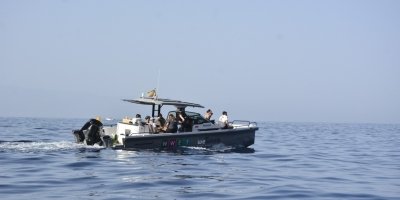 Tenerife Whale & Dolphin Observation Afternoon Shared Group Experience