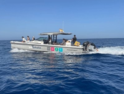 Tenerife Whale & Dolphin Observation (Mid-day Shared Group Experience)