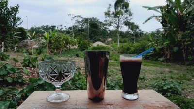 Amazon Coffee Odyssey: From Bean to Cup Experience