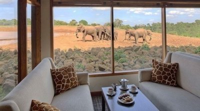 Wildebeest Migration Safari