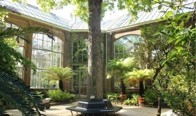 Amsterdam Jewish Quarter & Anne Frank House Tour